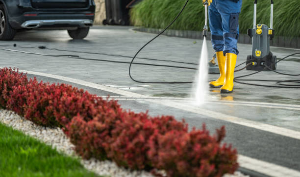 Local Pressure Washing Services in Vineyards, FL