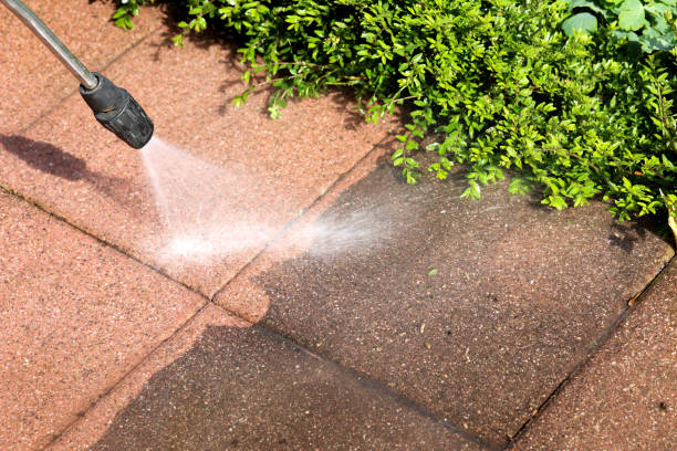 Best Roof Power Washing Services  in Vineyards, FL